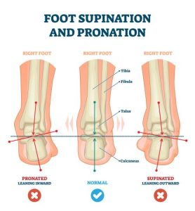 Foot supination and pronation.