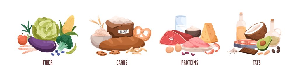 A set of different types of food in a flat style.