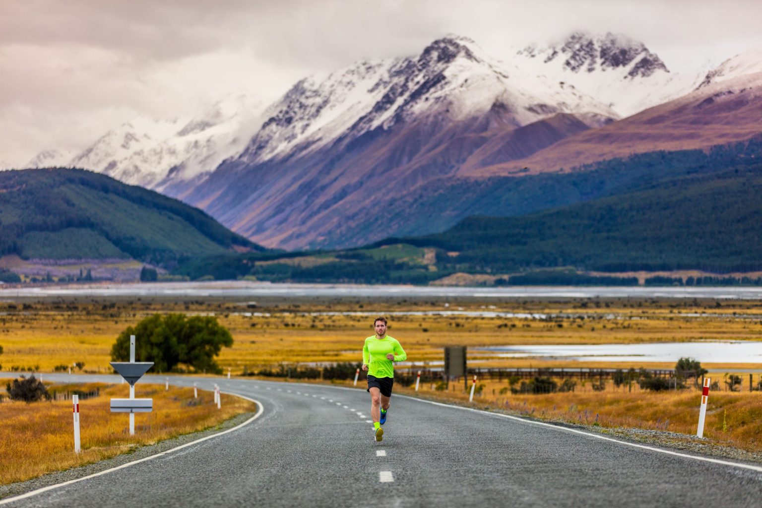 ultimate-half-marathon-training-plan-for-nz-runners