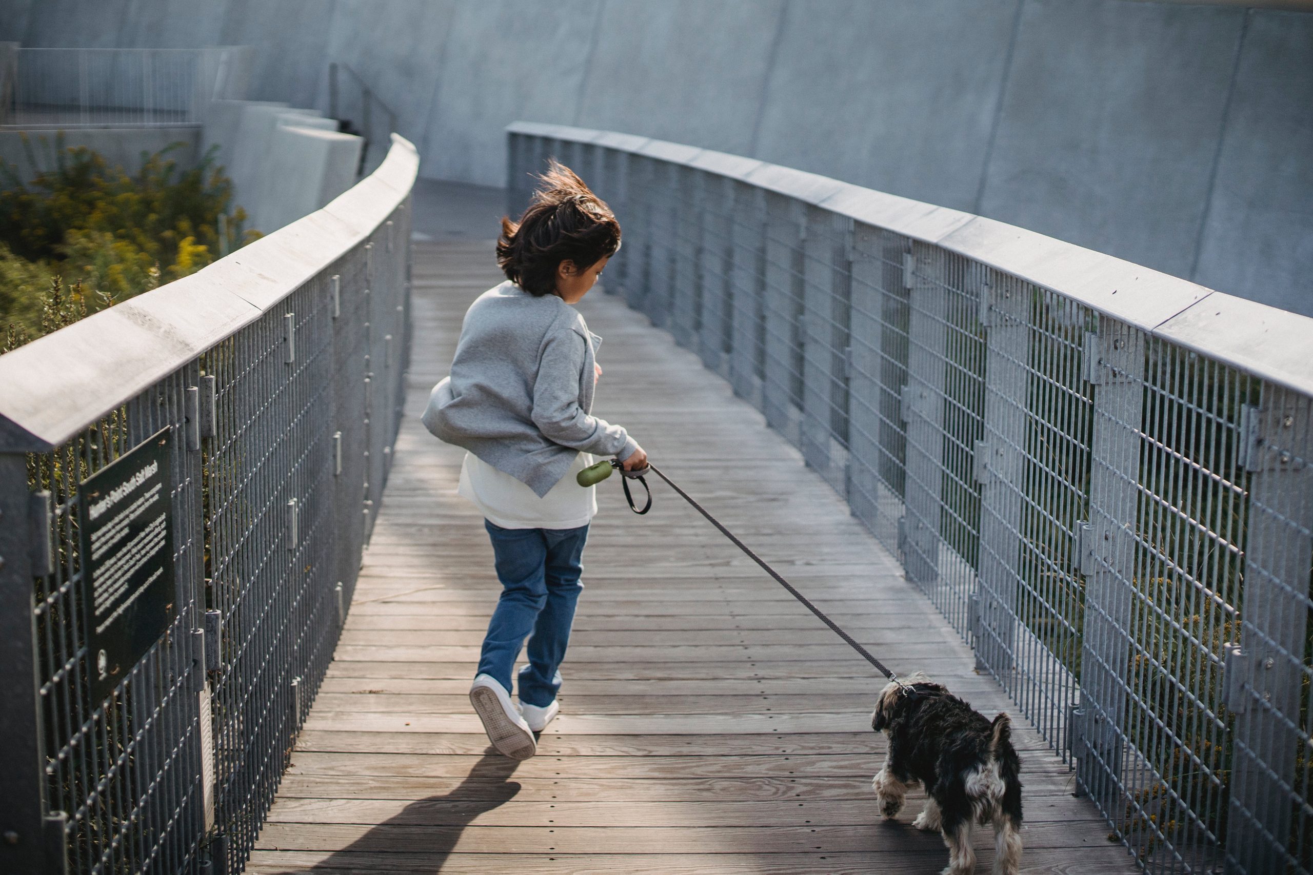 A child walking a dog on a wooden pathway with metal railings.