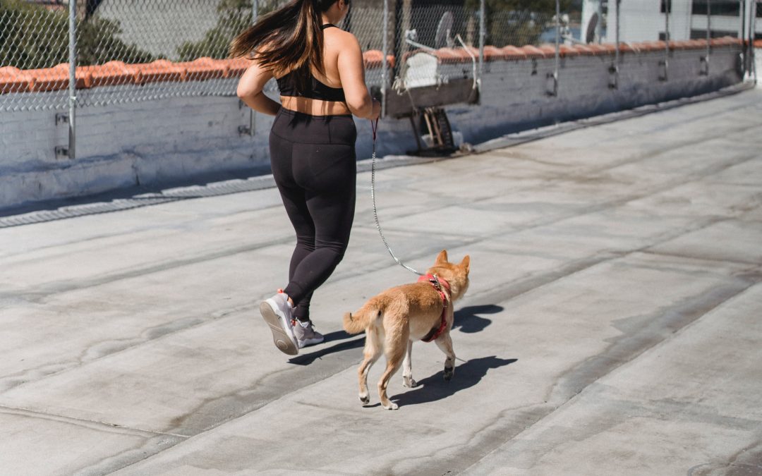 Essential Tips for Running in Hot Weather