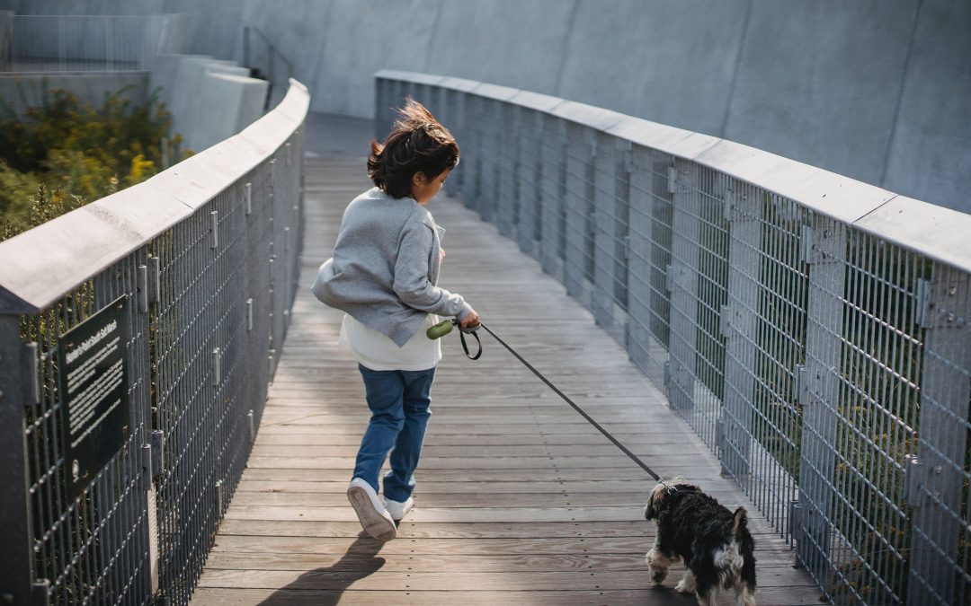What is the Best Half Marathon Training Plan for Beginners?