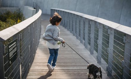 What is the Best Half Marathon Training Plan for Beginners?