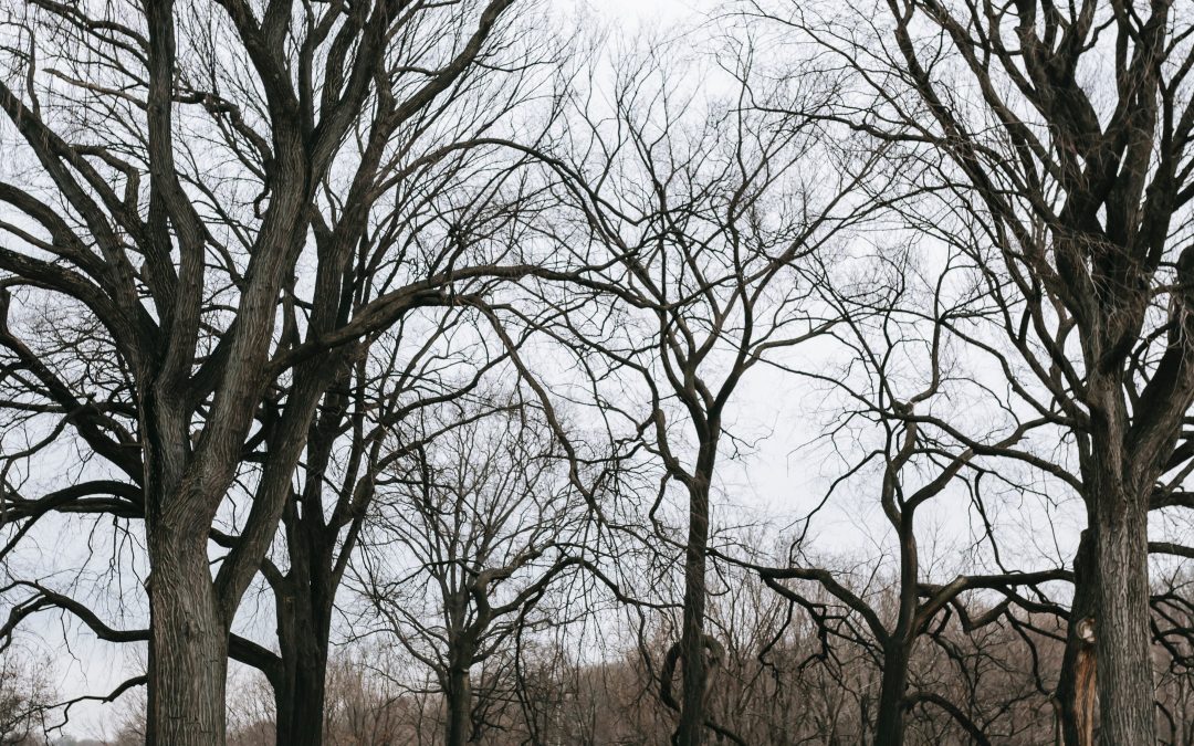 What Is the Running Workout Equivalent? Find Out Here!