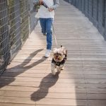 Long Distance Running vs Weight Lifting: What’s Best for You?