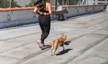 Why Your Half Marathon Training Is Not Going Well