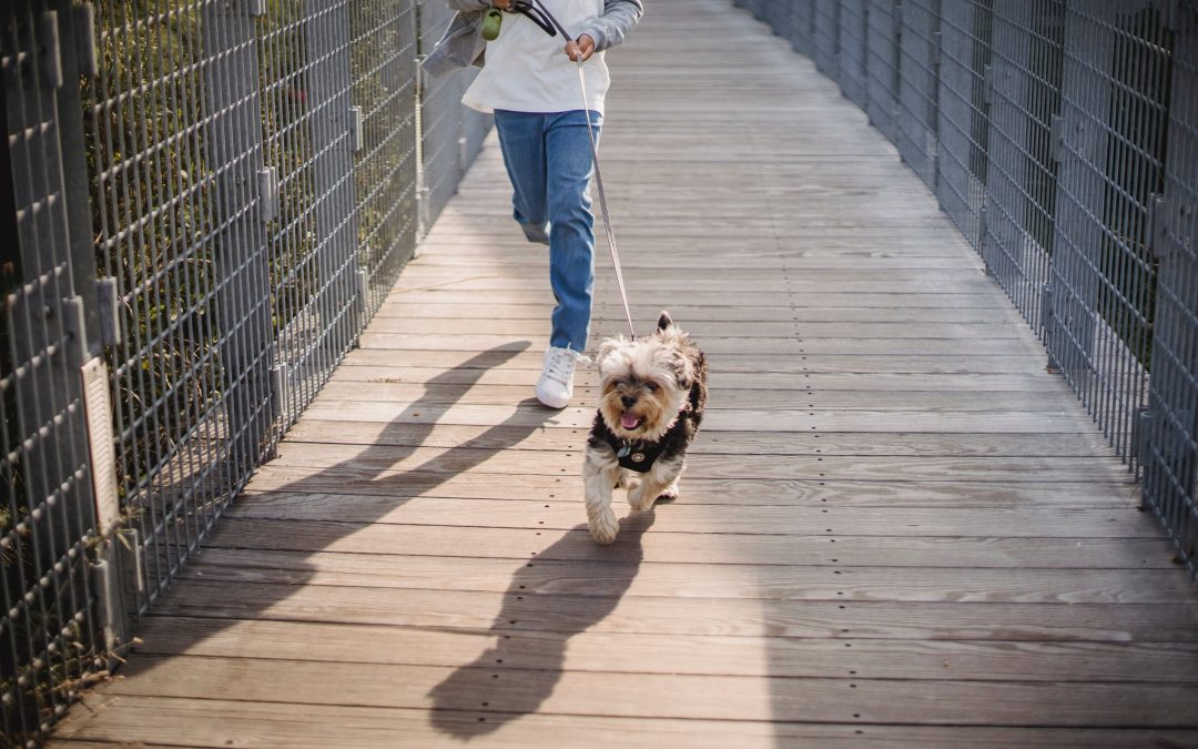 Top Running Workouts for Weight Loss on a Treadmill!