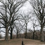 Half Marathon Training with Peloton: Get Fit Fast!